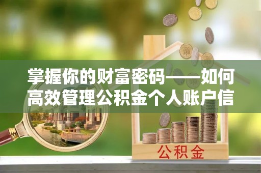 武昌掌握你的财富密码——如何高效管理公积金个人账户信息