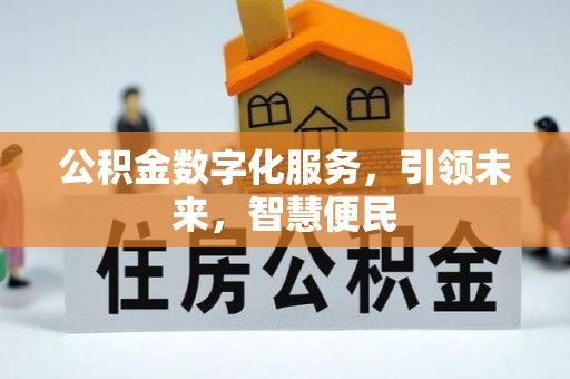 武昌公积金数字化服务，引领未来，智慧便民