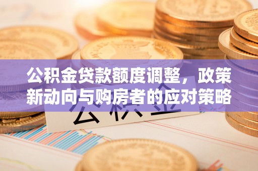武昌公积金贷款额度调整，政策新动向与购房者的应对策略