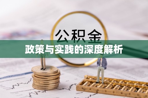 武昌政策与实践的深度解析