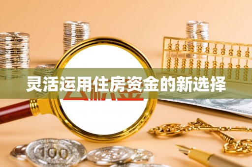 武昌灵活运用住房资金的新选择