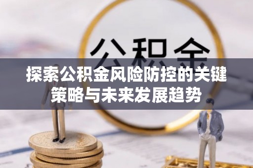 武昌探索公积金风险防控的关键策略与未来发展趋势