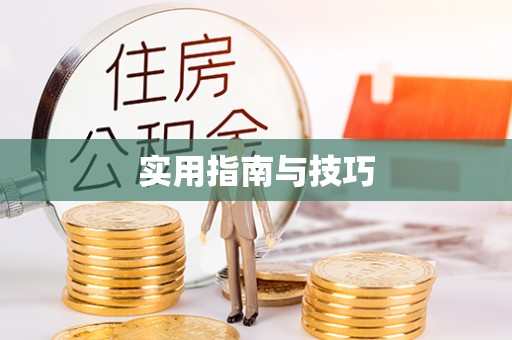 武昌实用指南与技巧