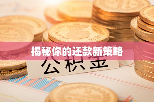 武昌揭秘你的还款新策略