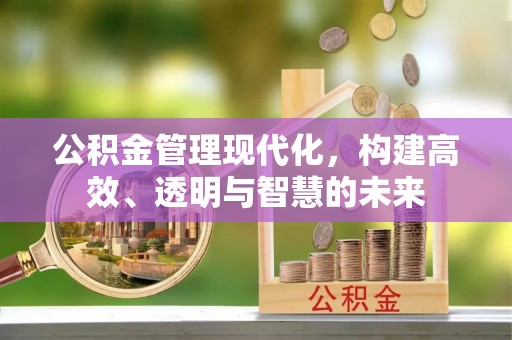 武昌公积金管理现代化，构建高效、透明与智慧的未来