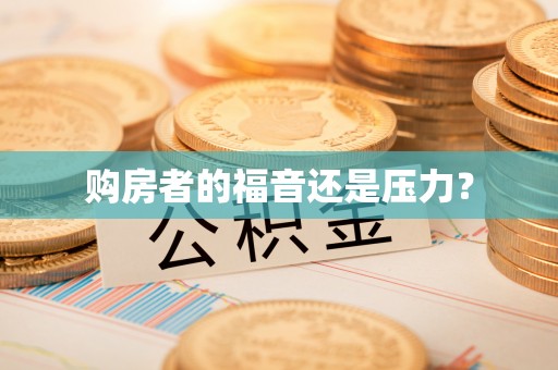 武昌购房者的福音还是压力？
