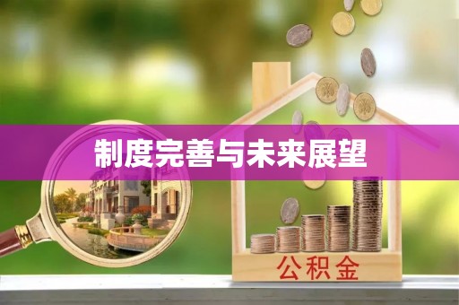 武昌制度完善与未来展望