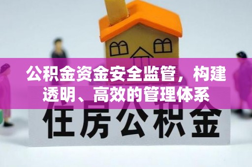 武昌公积金资金安全监管，构建透明、高效的管理体系