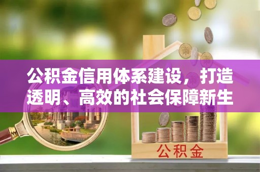 武昌公积金信用体系建设，打造透明、高效的社会保障新生态