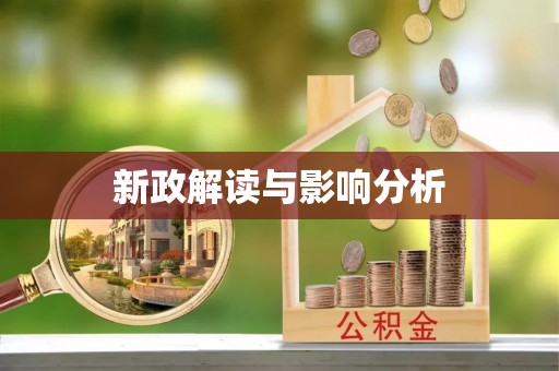 武昌新政解读与影响分析
