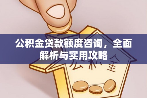 武昌公积金贷款额度咨询，全面解析与实用攻略