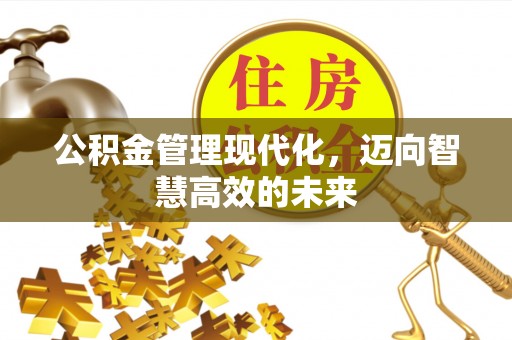 武昌公积金管理现代化，迈向智慧高效的未来
