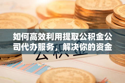 武昌如何高效利用提取公积金公司代办服务，解决你的资金难题