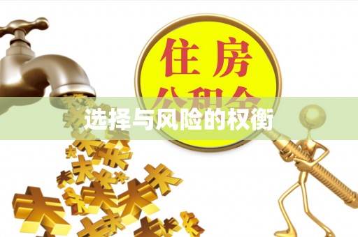 武昌选择与风险的权衡