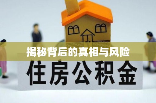 武昌揭秘背后的真相与风险