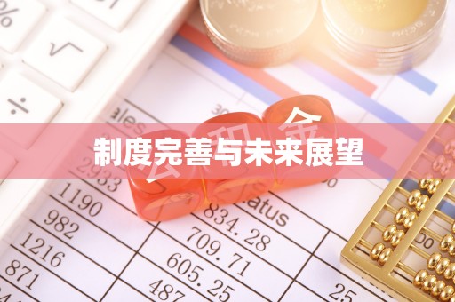 武昌制度完善与未来展望