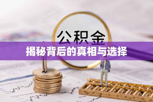 武昌揭秘背后的真相与选择