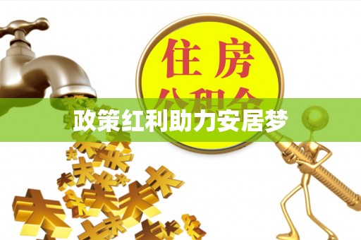 武昌政策红利助力安居梦
