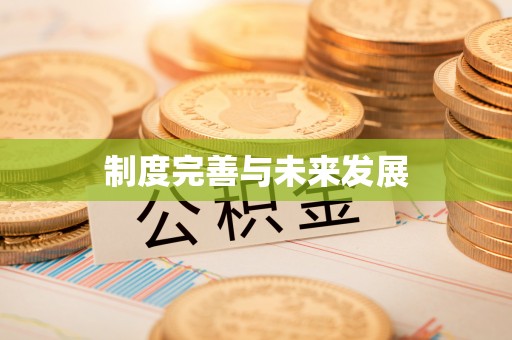 武昌制度完善与未来发展