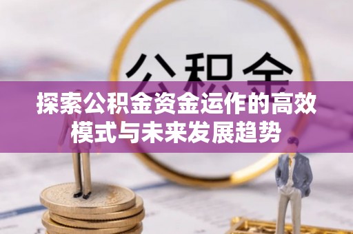 武昌探索公积金资金运作的高效模式与未来发展趋势