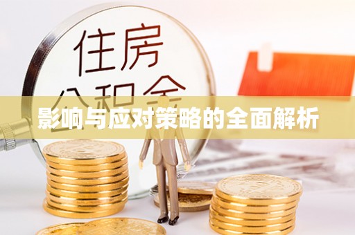 武昌影响与应对策略的全面解析