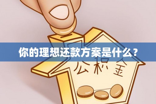 武昌你的理想还款方案是什么？