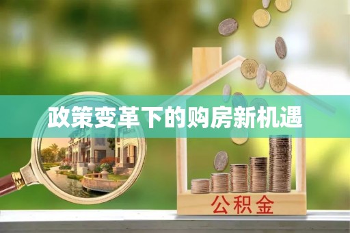 武昌政策变革下的购房新机遇