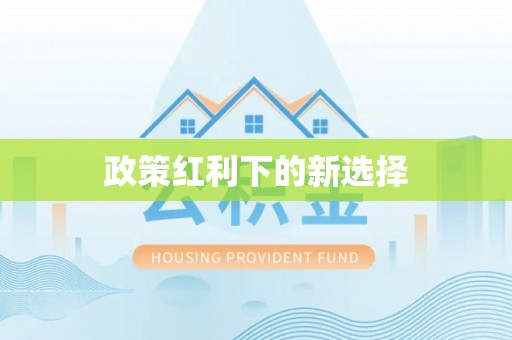 武昌政策红利下的新选择