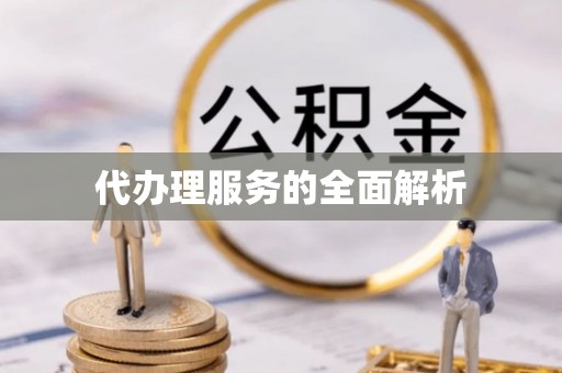 武昌代办理服务的全面解析