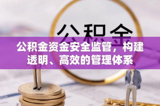 武昌公积金资金安全监管，构建透明、高效的管理体系