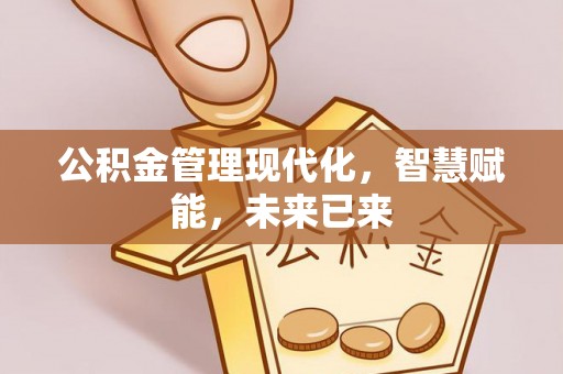 武昌公积金管理现代化，智慧赋能，未来已来