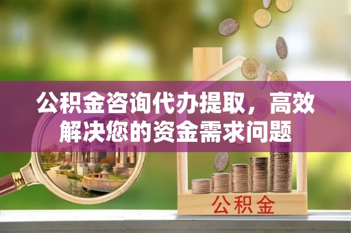 武昌公积金咨询代办提取，高效解决您的资金需求问题
