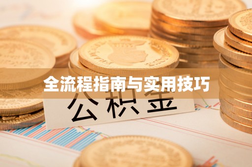 武昌全流程指南与实用技巧
