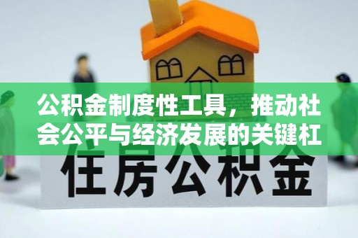 武昌公积金制度性工具，推动社会公平与经济发展的关键杠杆