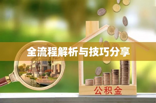 武昌全流程解析与技巧分享