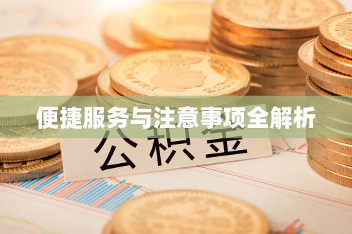 武昌便捷服务与注意事项全解析