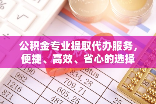 武昌公积金专业提取代办服务，便捷、高效、省心的选择