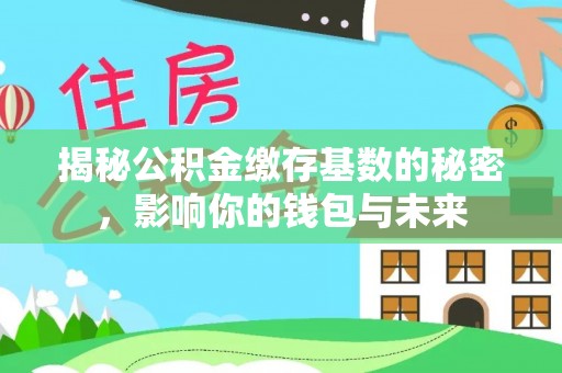 武昌揭秘公积金缴存基数的秘密，影响你的钱包与未来