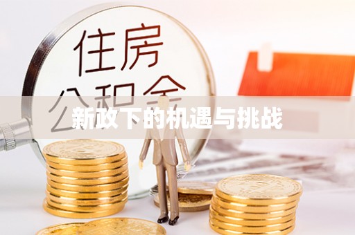 武昌新政下的机遇与挑战