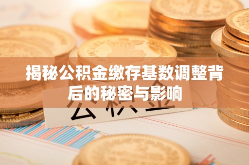 武昌揭秘公积金缴存基数调整背后的秘密与影响
