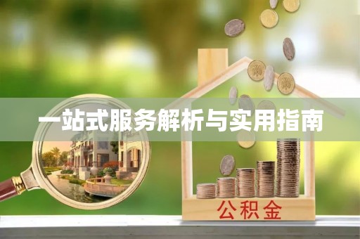 武昌一站式服务解析与实用指南