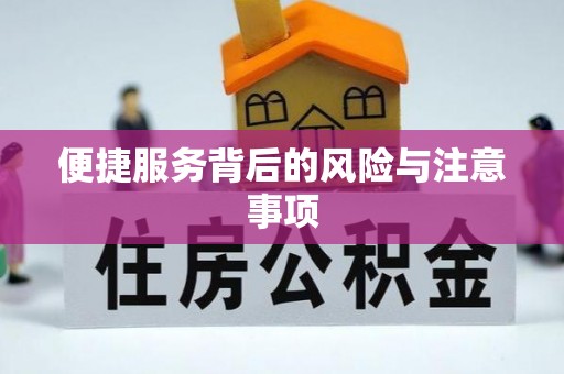 武昌便捷服务背后的风险与注意事项