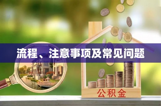 武昌流程、注意事项及常见问题