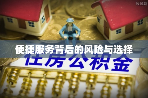 武昌便捷服务背后的风险与选择