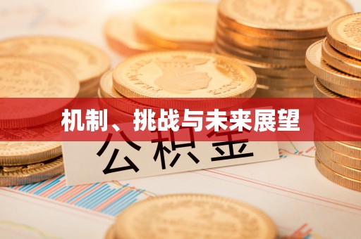 武昌机制、挑战与未来展望