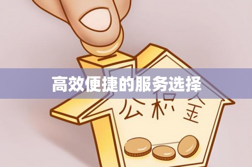 武昌高效便捷的服务选择