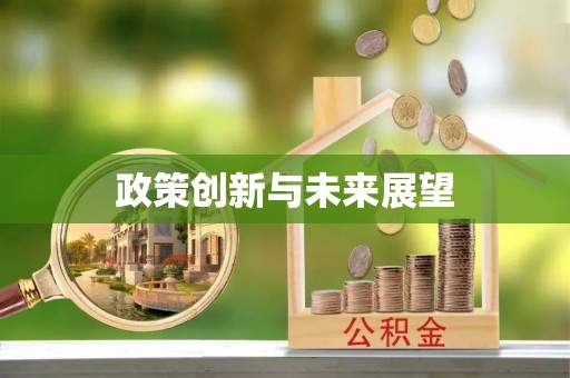 武昌政策创新与未来展望
