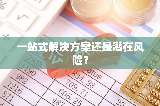 武昌一站式解决方案还是潜在风险？
