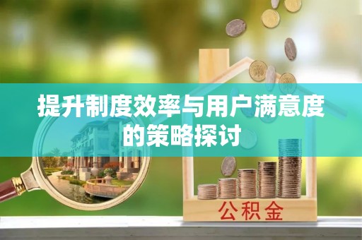 武昌提升制度效率与用户满意度的策略探讨